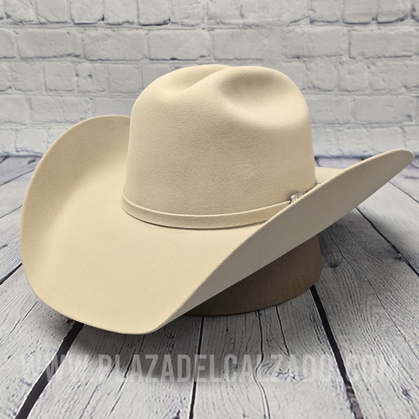 Twinstone Felt Hat Texas Silverbelly
