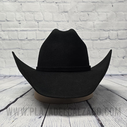 Twinstone Felt Hat Texas 4X